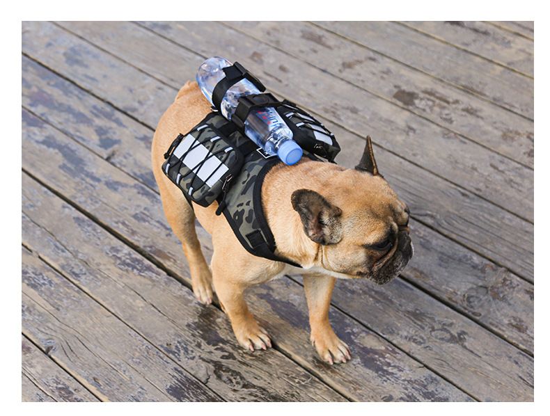 Reflective Dog Backpack Harness with Saddle Pouches – view 8