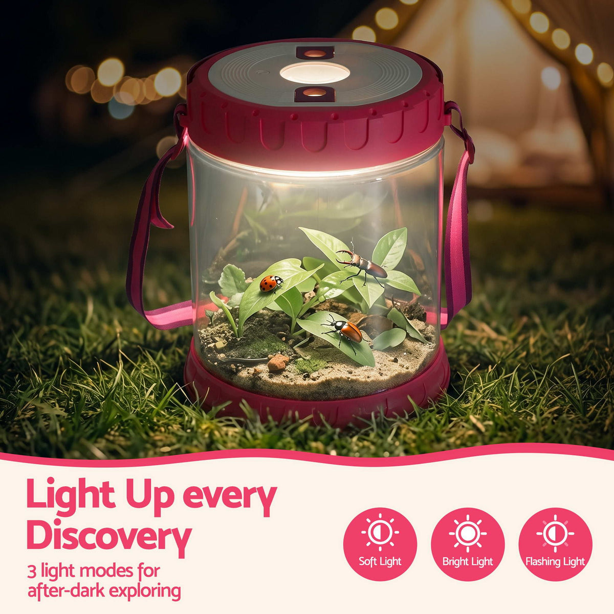 Outdoor toy gift for curious kids