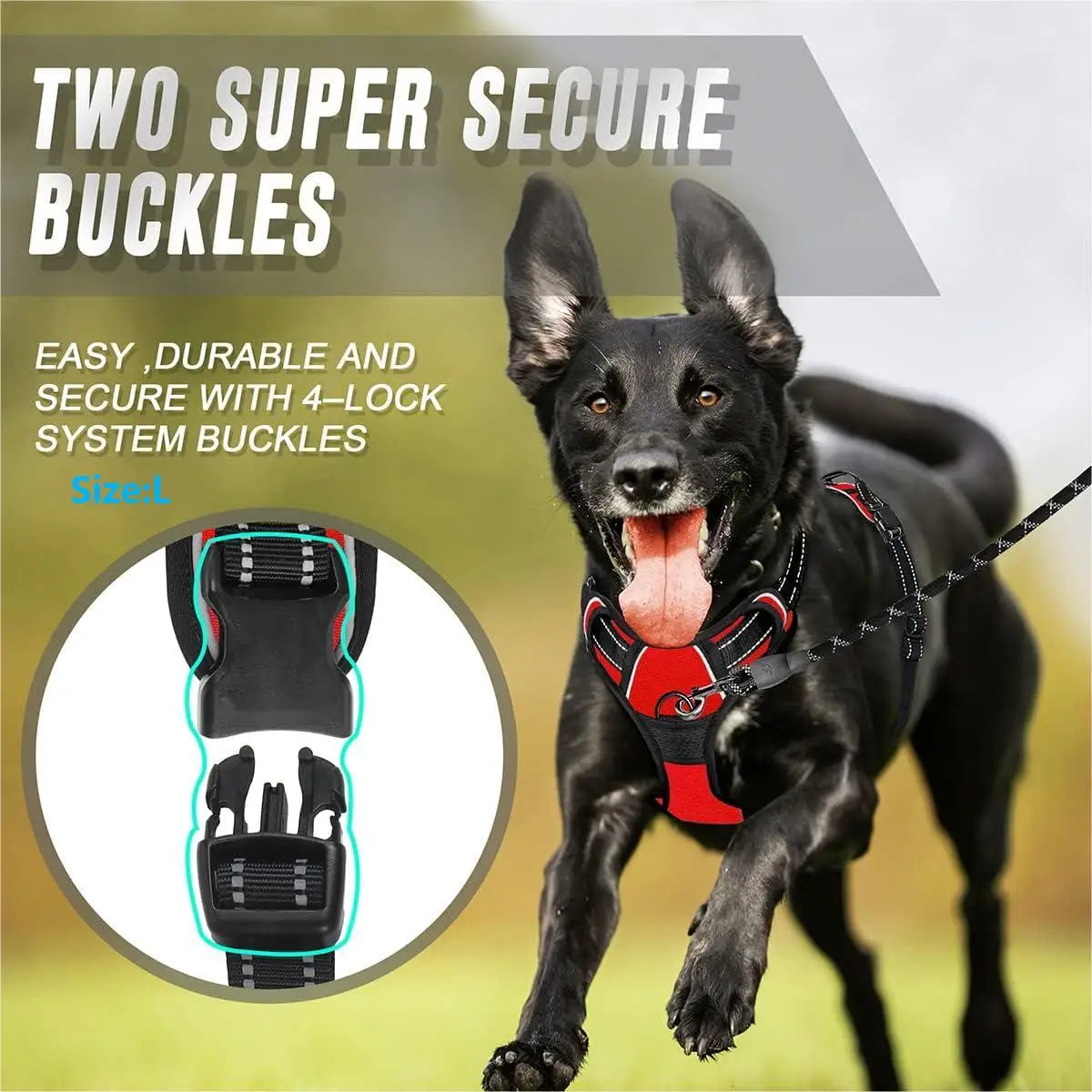 Dog harness size guide
