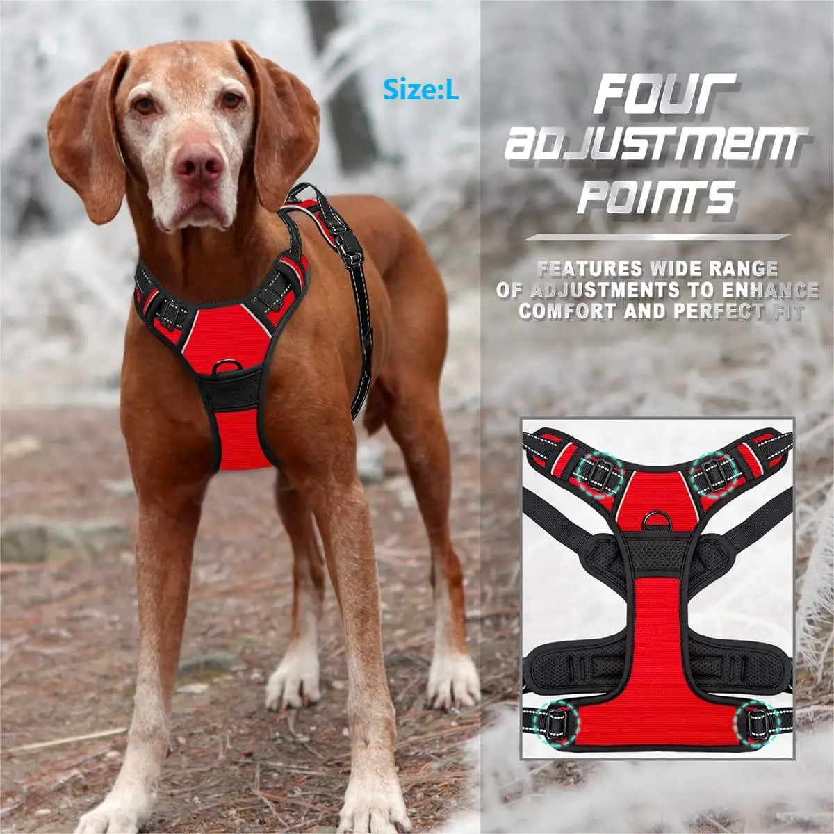 Dog harness colour options